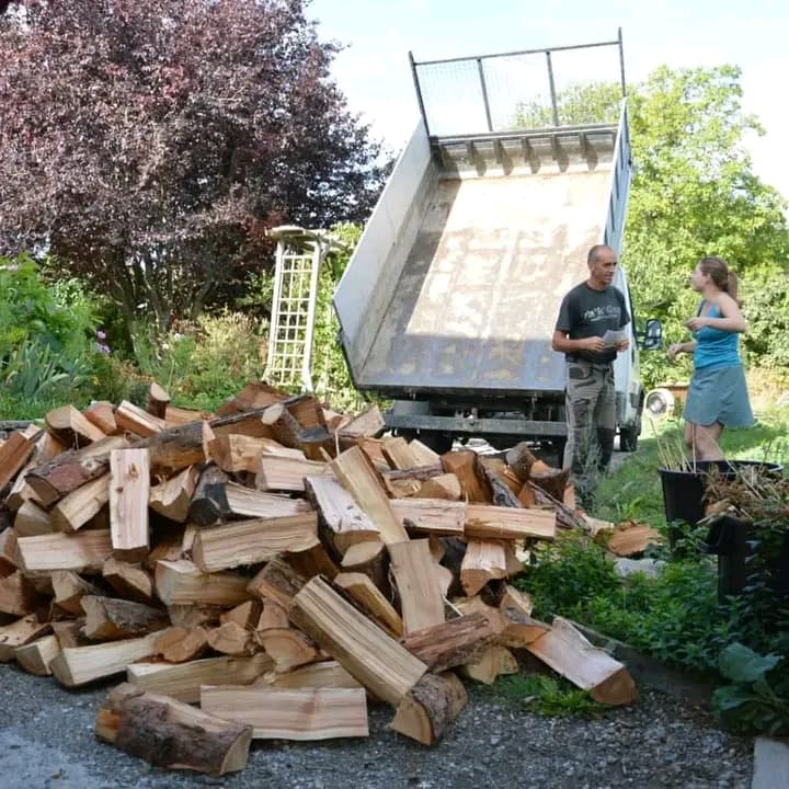 Pilha de lenha cortada em primeiro plano com caminhão basculante e pessoas conversando no jardim.